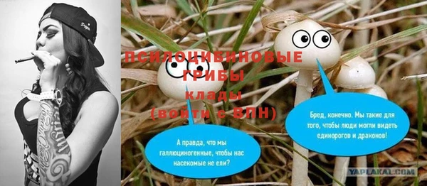ПСИЛОЦИБИНОВЫЕ ГРИБЫ Алексин