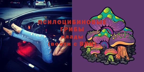 крисы Пересвет