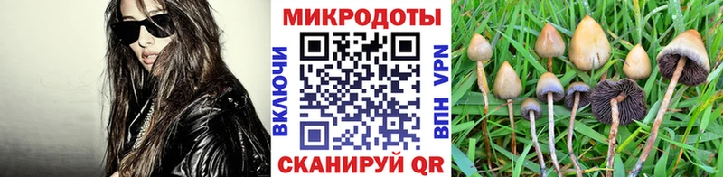 Галлюциногенные грибы Cubensis  Каневская 